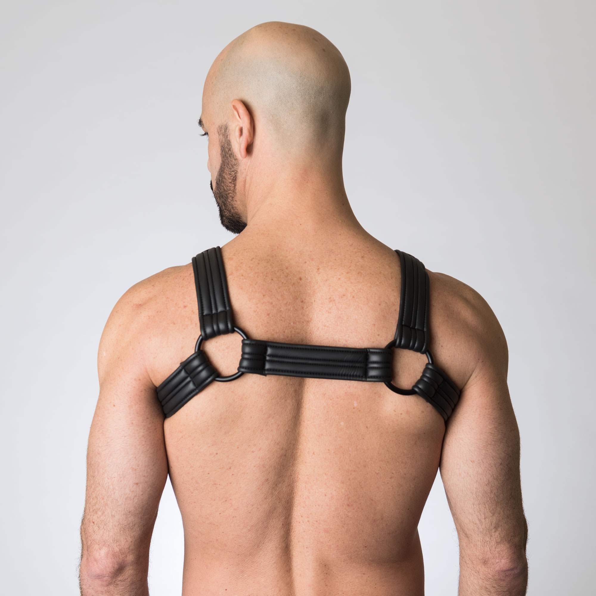 665 Leather Neoprene and Fetish Clothing Neoprene Bulldog Harness